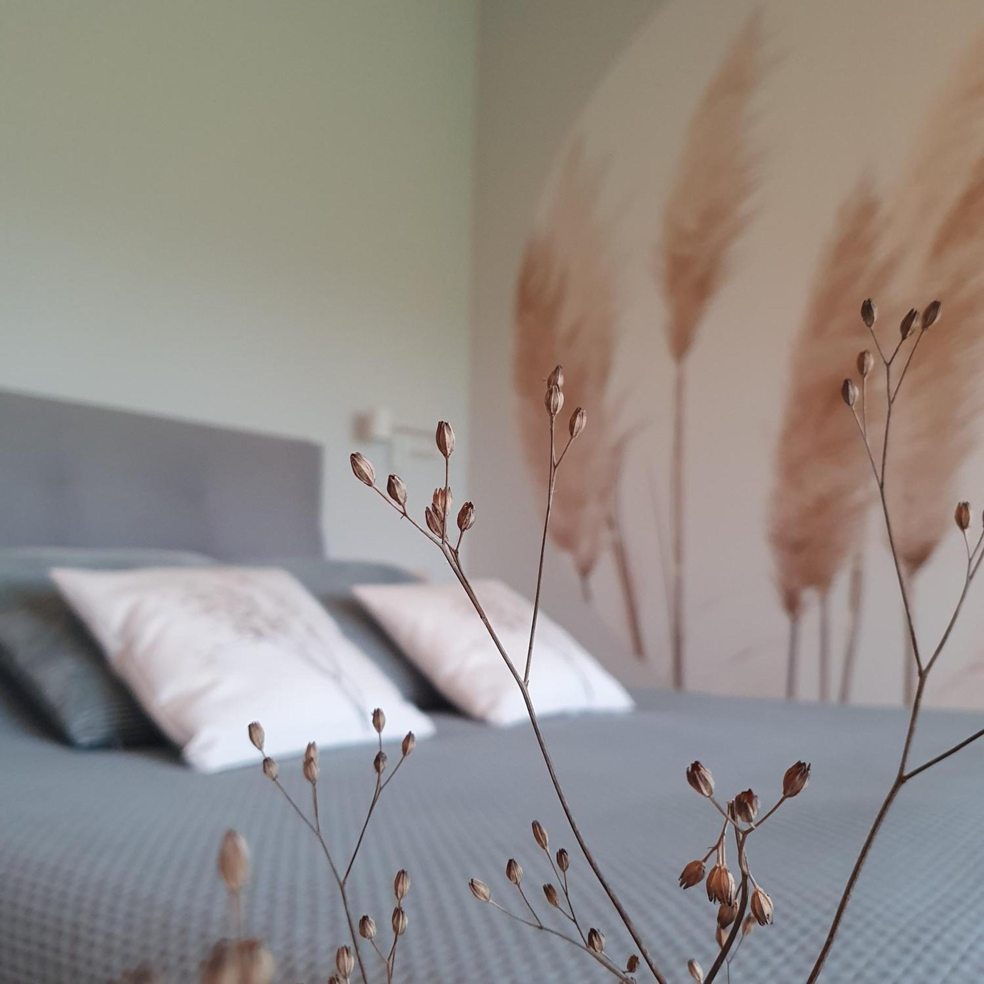 Tytsjerk Hippe Schuur Bed & Breakfast エクステリア 写真