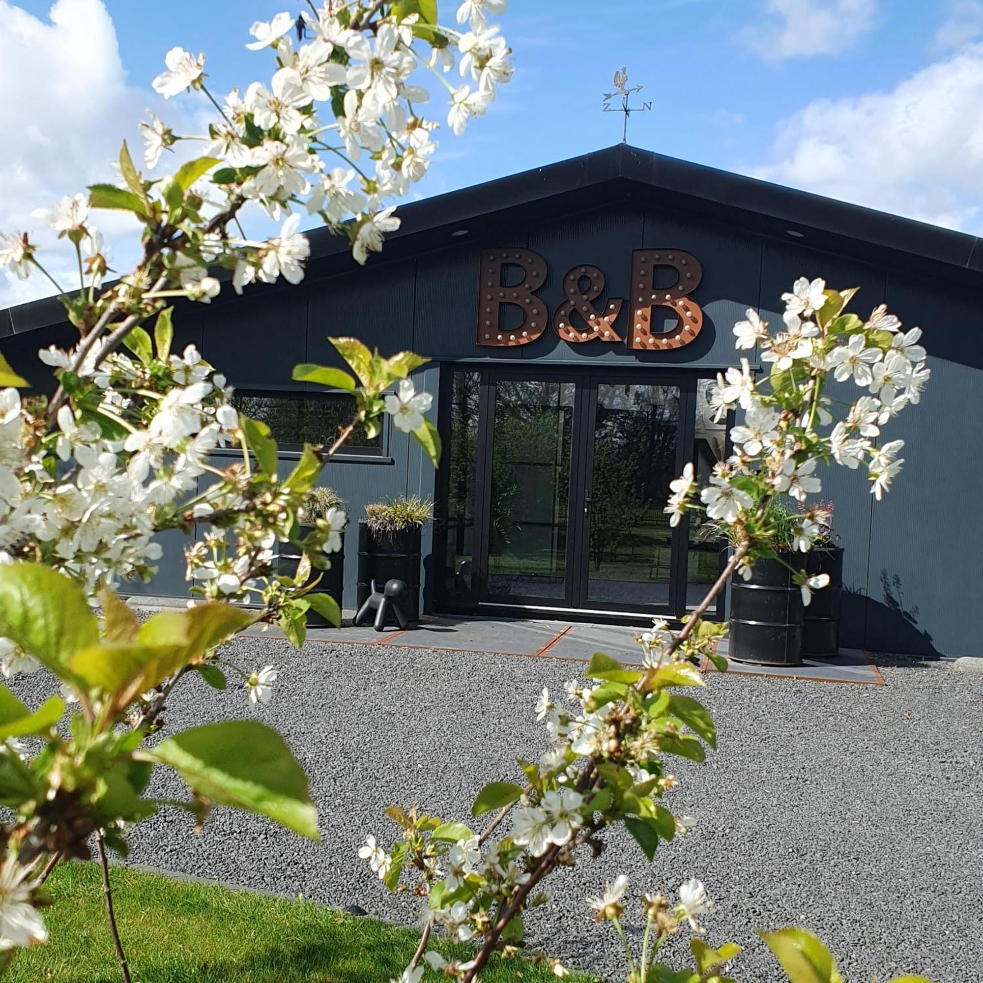 Tytsjerk Hippe Schuur Bed & Breakfast エクステリア 写真
